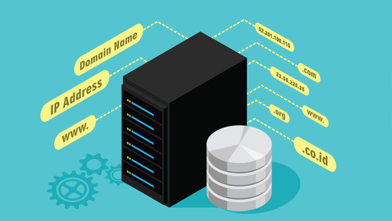 The Domain Name System (DNS)